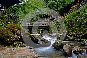 Scenery of the Back Hill of Qingcheng Mountain