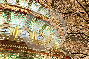 Scenery of beautiful cherry blossoms  sakura  and the oriental pagoda in Tien-Yuan Temple