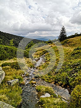 Scenery of beautiful high mountains with greenery