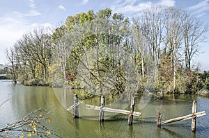 Scenery in Biesbosch national park