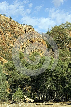 Scenery, Brachina Gorge, SA, Australia