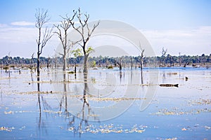 Scenery from bridge leading to Neak Pean or Neak Poan Angkor Wat Siem Reap Cambodia South East Asia photo
