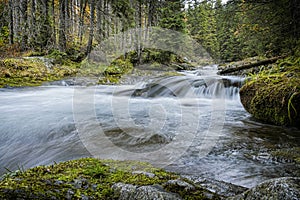 Scenery of brook in Dill valley, High Tatras mountain, Slovakia