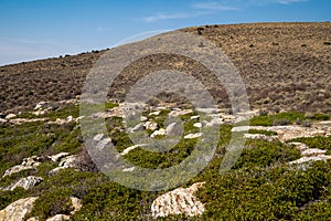 Scenery in the canyon area of Dinosaur National Monument of mountains, rocks and vegetation, at the Island Park overlook