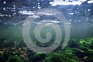 Scenery in clear river water