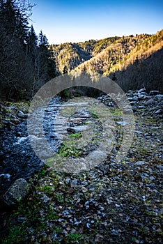 Scenery with a creek flowing in autumn woody countryside