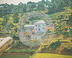 Scenery in Dalat Vietnam