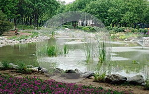 Scenery of ecological wetland and pond. photo