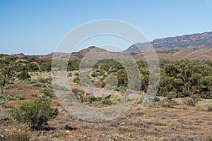 Scenery by the Elder Range lookout in the Flinders Ranges