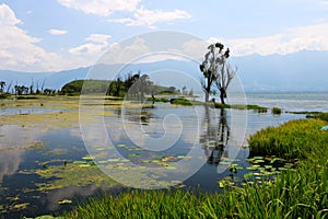 The scenery of erhai lake, dali,yunnan, China photo