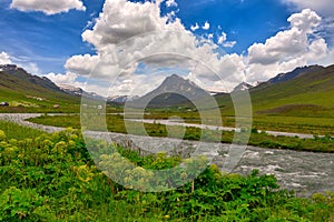 The scenery of fresh and bright summer green mountains and grass, wild flowers and streams with Icelandic country roads.