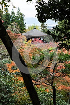 Scenery of Garden in Ginkakuji Temple Area in Autumn