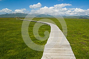 Scenery of grassland at Tibetan plateau photo