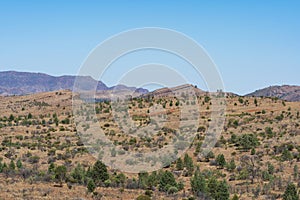 Scenery from the Great Wall of China lookout area of the Flinders Ranges