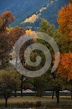 Scenery of Guanegou National Forest Park in China`s Gansu