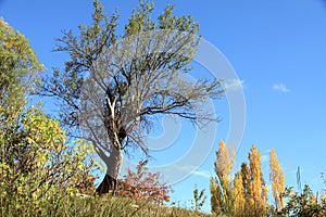 Scenery in the Gudar mountains Teruel Spain photo