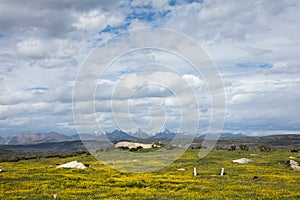 Scenery on the highway in Sichuan, China