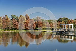 Landscape of Hong Kong wetland park