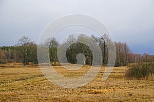 Scenery. Horizontal shot. The beginning of spring. March. Copses and meadows. Trees and cloudy sky.