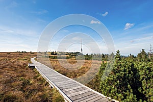 Scenery at the Hornisgrinde educational trail