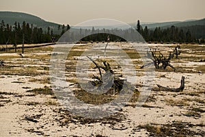 Scenery from the hot springs thermal area of Yellowstone National Park