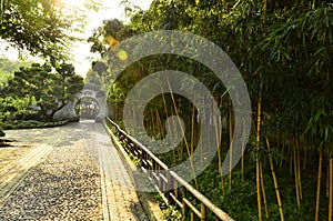 The scenery of Humble Administrator's Garden at Suzhou, China.