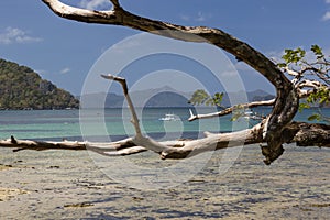 Scenery of the islands and coastal area of the island of Palawan