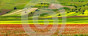 scenery of Italy - Castelluccio di Norcia, blooming meadows. Umbria