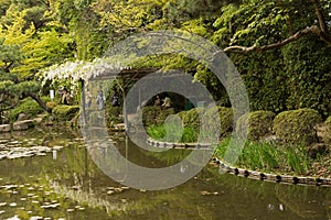 The scenery of Japanese garden near Heian Shrine.