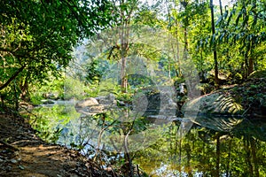 Scenery in Khao Sok National Park in Thailand. Khao Sok National Park the rain jungle forest in Surat Thani province