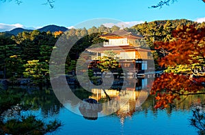 Scenery of Kinkaku-ji, a famous Zen Buddhist temple in Kyoto Japan, with view of Golden Pavilion glittering under blue clear sky