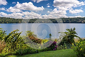 Scenery of the Lake Barrine, Atherton Tablelands, Queensland, Australia