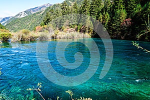 Scenery Of Lake in Forest with Colorful Leafs and Mountain in Autumn