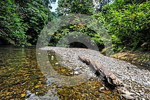 Scenery from the Landak River in Bukit Lawang
