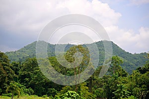 Scenery landscape beautiful of mountain and green forest.