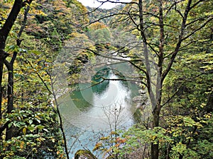 Scenery of leaves color change and turquoise water stream at Dakigaeri Gorge in Japan.