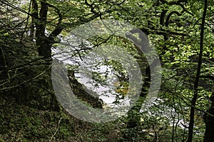 Scenery of linn of tummel from the trail