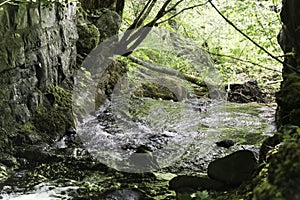 Scenery of linn of tummel from the trail