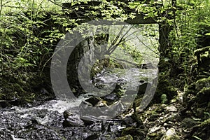 Scenery of linn of tummel from the trail