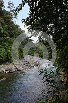 Scenery of lush jungle at Bukit Lawang - Gunung Leuser National Park photo