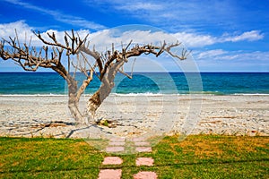 Scenery of Maleme beach on Crete