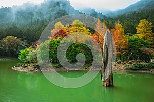 Scenery of mingchi forest recreation area in yilan, taiwan