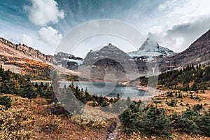 Scenery of Mount Assiniboine with Lake Magog in autumn forest at provincial park