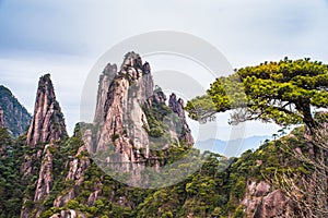 Scenery of Mount Sanqing in China