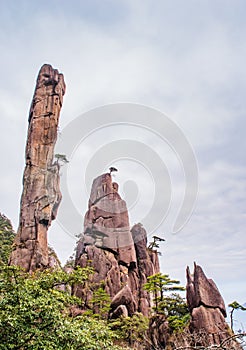 Scenery of Mount Sanqing in China