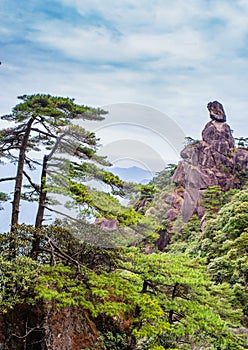 Scenery of Mount Sanqing in China