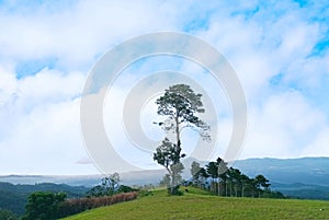 Scenery mountain & clouds