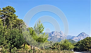 Scenery with mountain peaks and pinetrees  in Kemer, Turkey photo