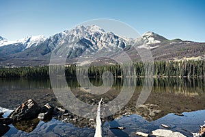 Scenery of mountain range with pine forest reflection on Pyramid lake, Jasper national park