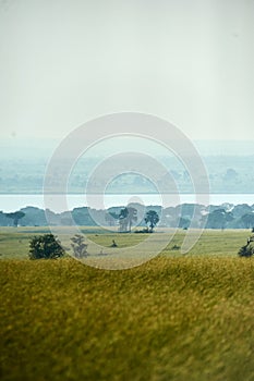 Scenery Murchison Falls National Park Uganda